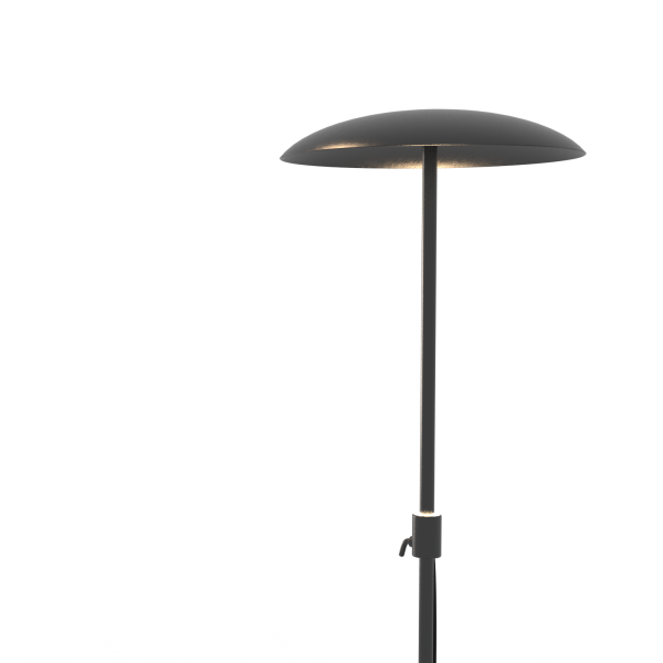 Bonfire  Lamp Image